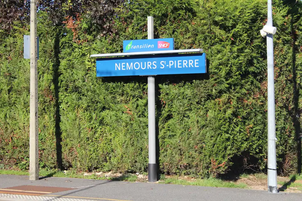 Gare de Nemours-Saint-Pierre, sur la branche Montargis de la ligne R