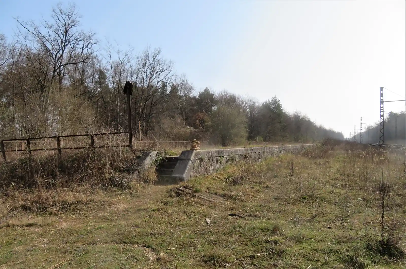 Vestiges de l'ancien quai de marchandises de Thomery, témoin du trafic du chasselas