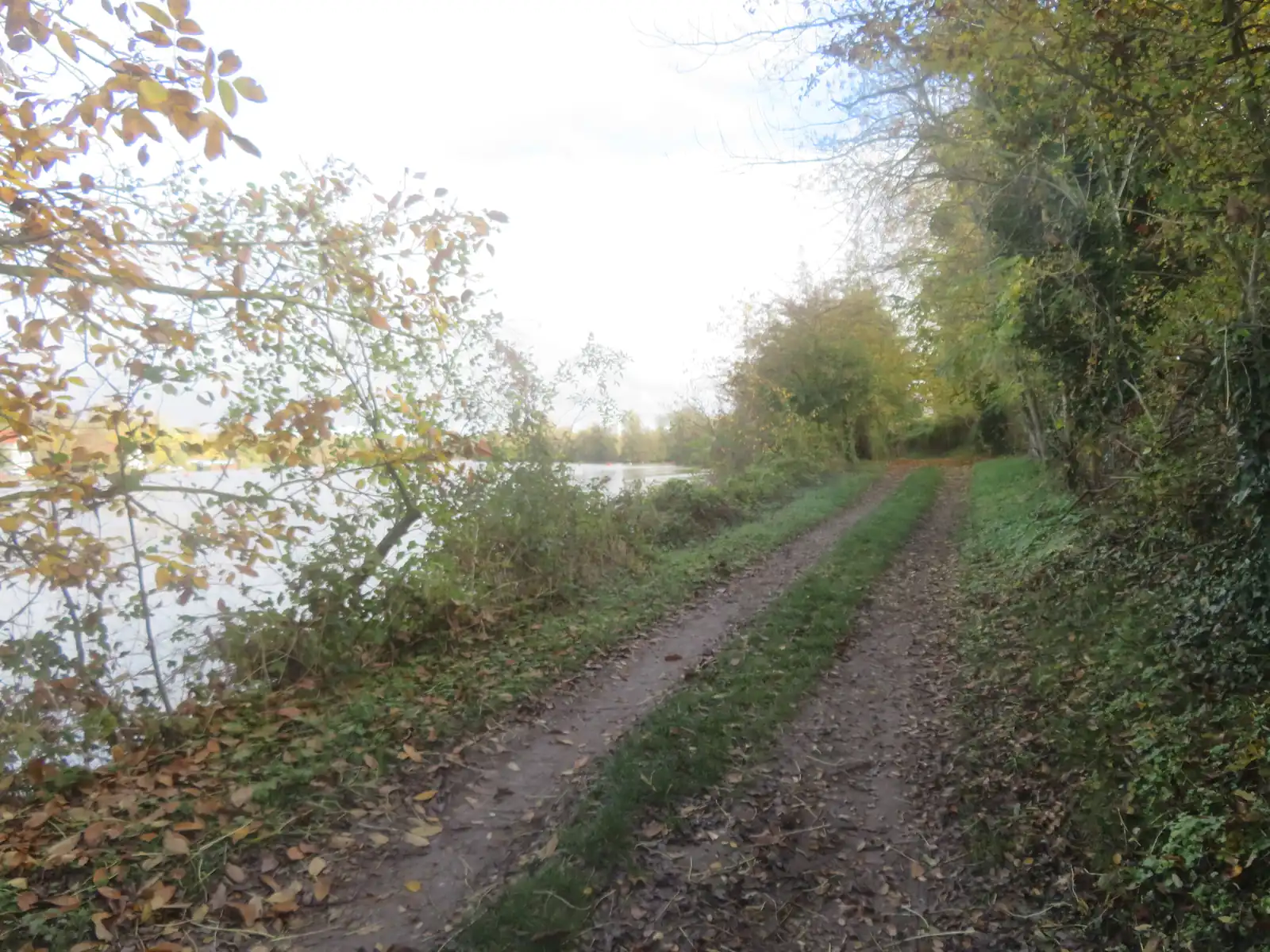 Chemin de halage longeant la Seine en amont de l'écluse à Varennes-sur-Seine